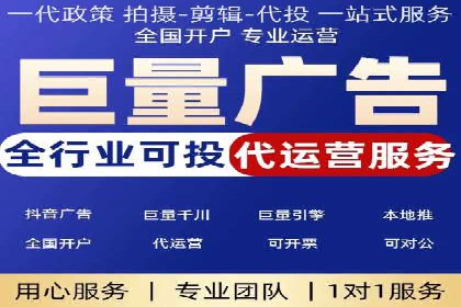 百度竞价广告的投放策略与成功案例分析